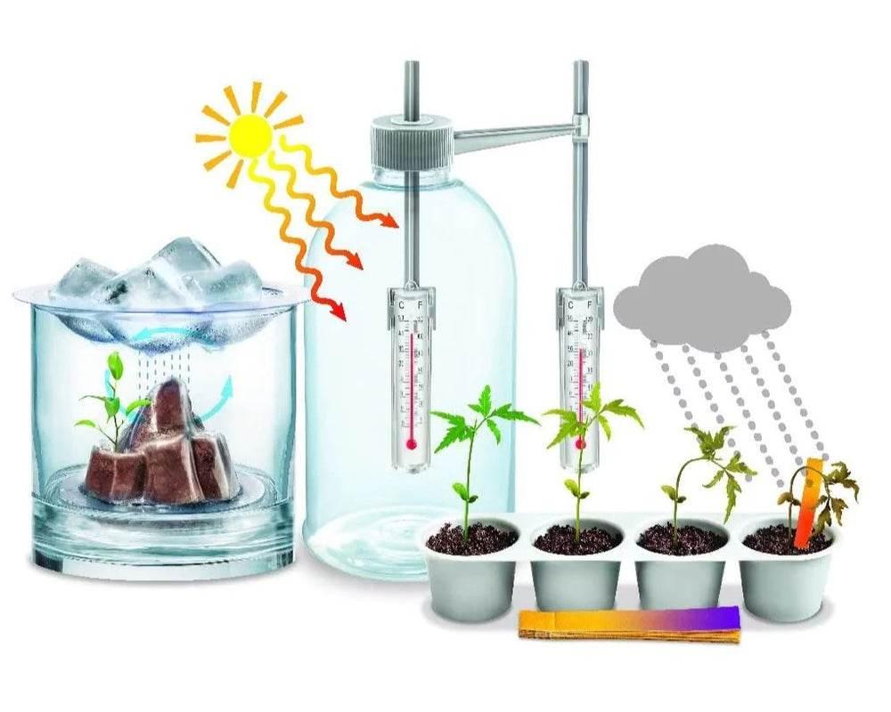 Green Science Weather Science - Cloud Nine Stores