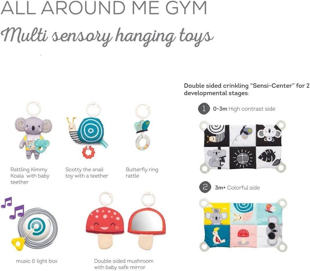 Taf Toys 4 in 1 Music and Light All Around Me Baby Activity Gym - Cloud Nine Stores