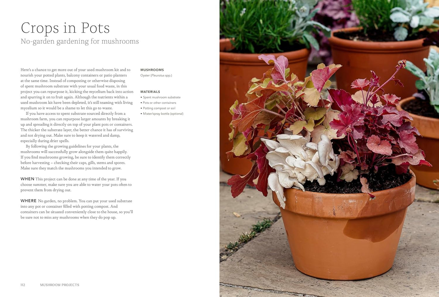 Project Mushroom: A Modern Guide to Growing Fungi Cloud Nine Stores