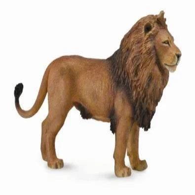 African Lion - CollectA - Cloud Nine Stores