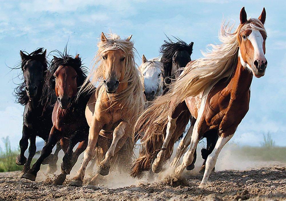 Trefl Puzzles - Running Horses - Cloud Nine Stores