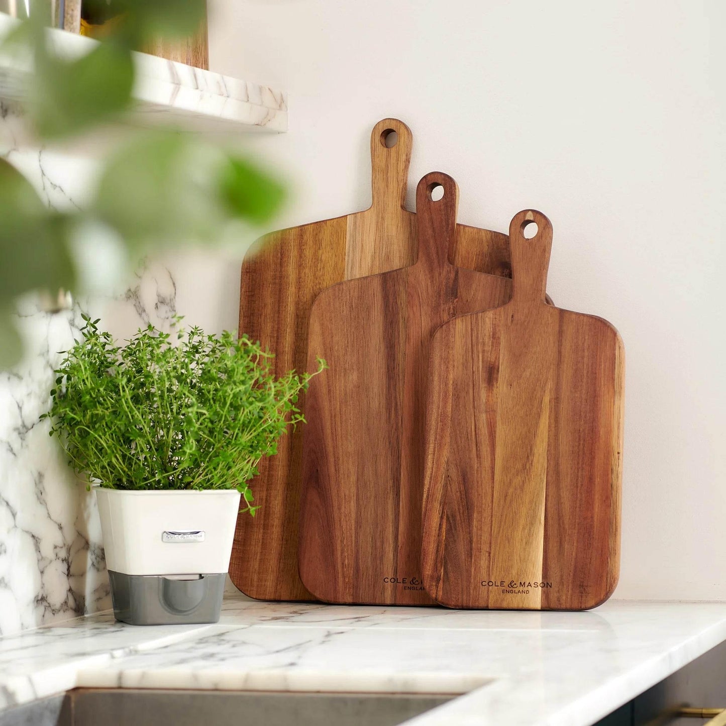 Cole & Mason Large Barkway Acacia Chopping Board- Large - Cloud Nine Stores