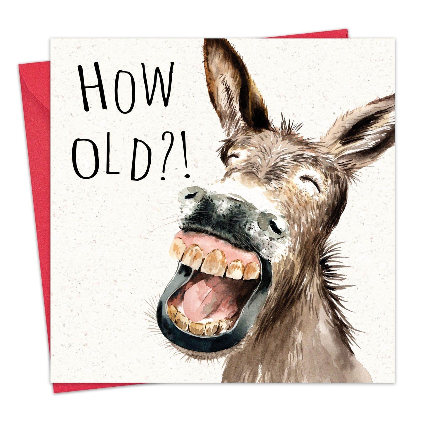How Old Donkey Funny Card - Cloud Nine Stores