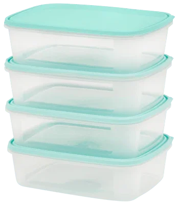 Wham Food Storage Box Container 1L - Set of 4 - Cloud Nine Stores