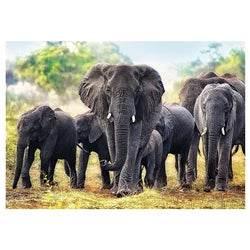 Trefl (10442) - "African Elephants" - 1000 pieces puzzle - Cloud Nine Stores