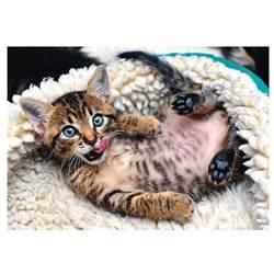 Trefl (10448) - "Cheerful Kitten" - 1000 pieces puzzle - Cloud Nine Stores