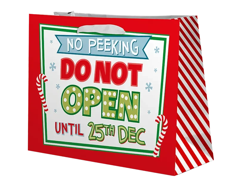 Christmas Cute Luxury Large Gift Bag - Cloud Nine Stores