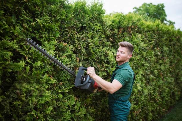 Gardening Electricals - Cloud Nine Stores