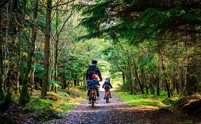 Cycling Accessories and Spares