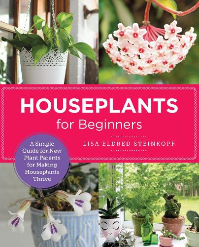 Houseplants for Beginners Cloud Nine Stores