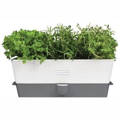 Cole & Mason Triple Self Watering Herb Keeper With Hydro Pads - Cloud Nine Stores
