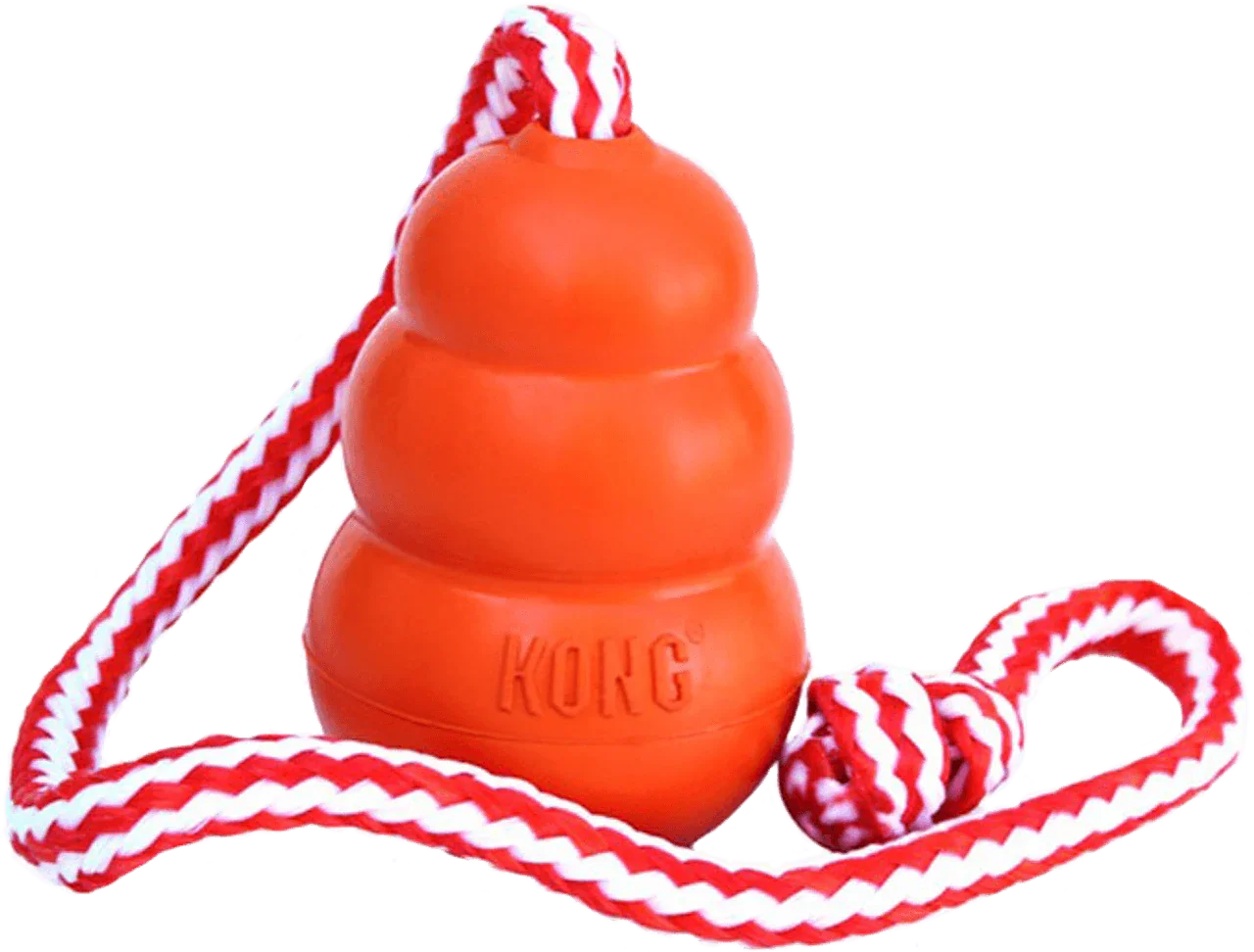 Kong Aqua Medium - Cloud Nine Stores
