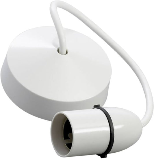 Securlec T1 White Ceiling Pendant Kit 12" (30cm)