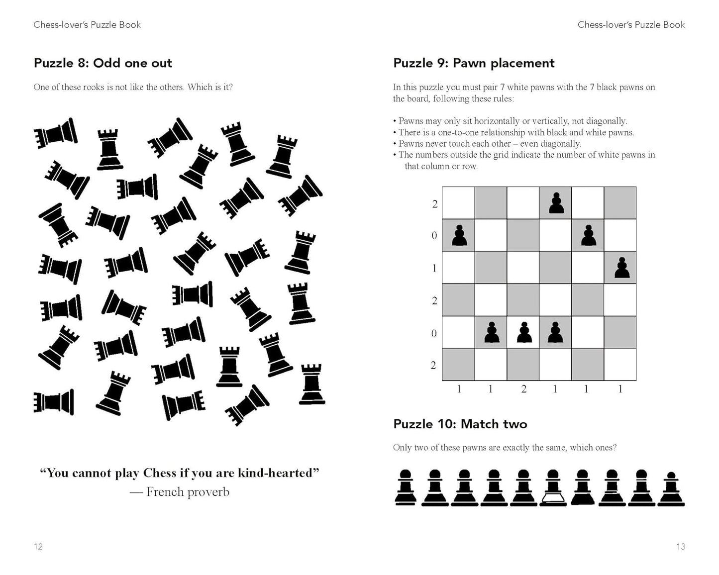 Chess Lovers Puzzle Book Cloud Nine Stores