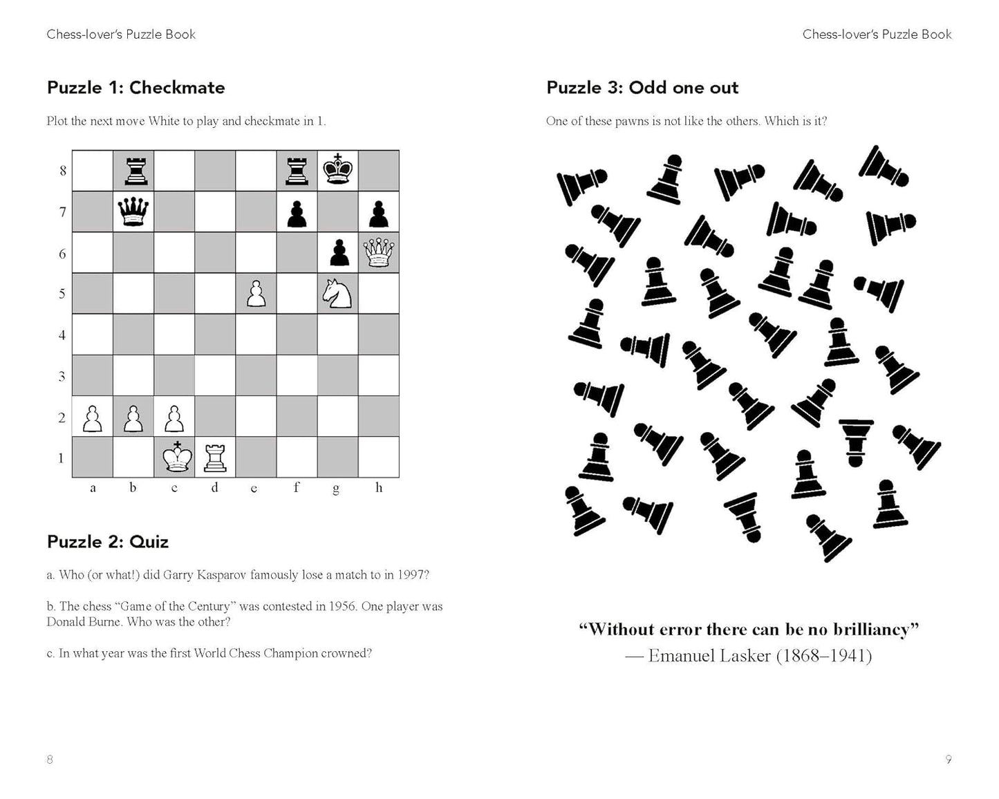 Chess Lovers Puzzle Book Cloud Nine Stores