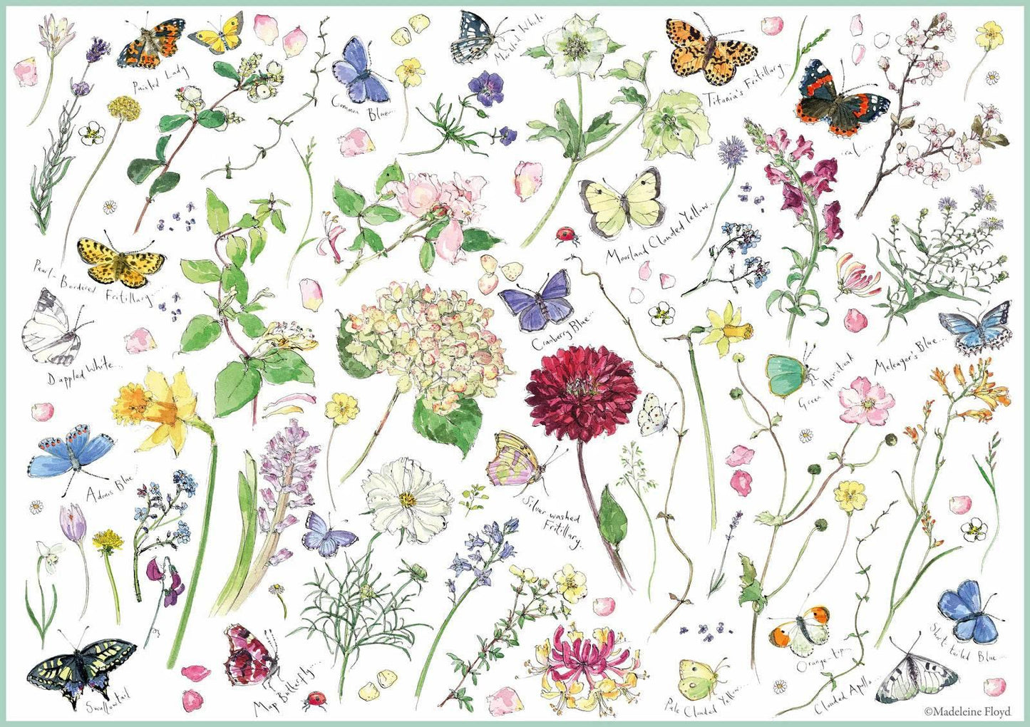 Otter House - Flowers & Butterflies - Cloud Nine Stores