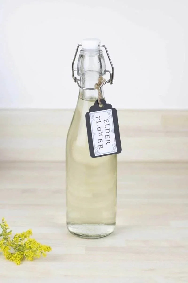 Tala Cordial Bottle - 530ml - Cloud Nine Stores