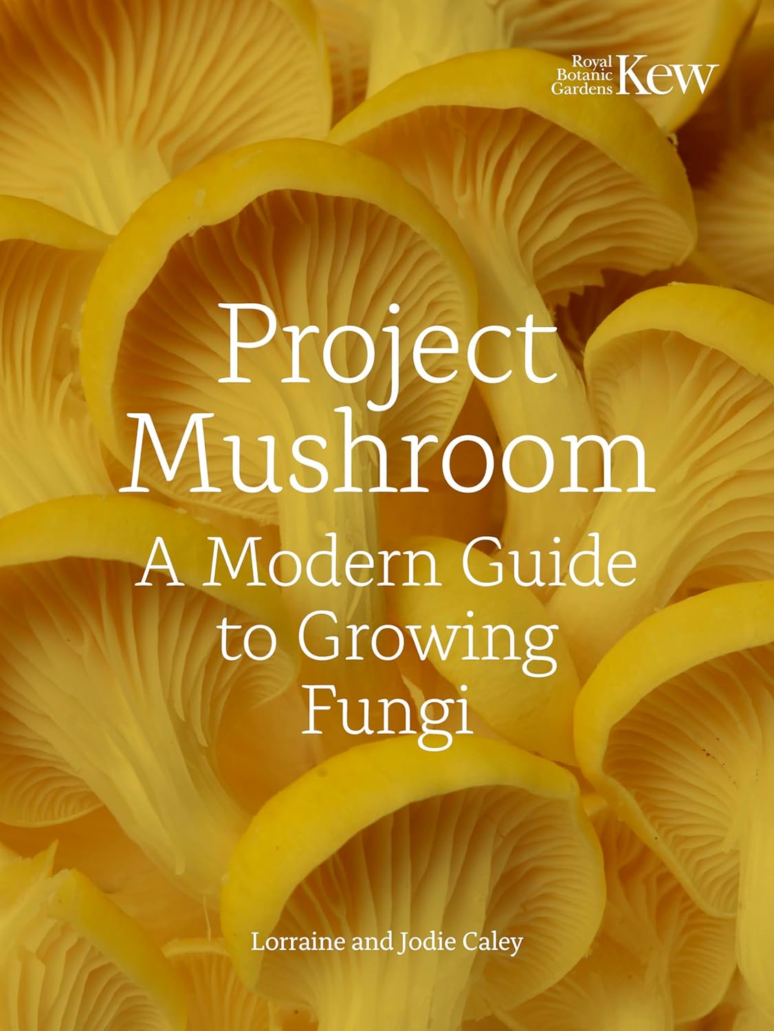 Project Mushroom: A Modern Guide to Growing Fungi Cloud Nine Stores