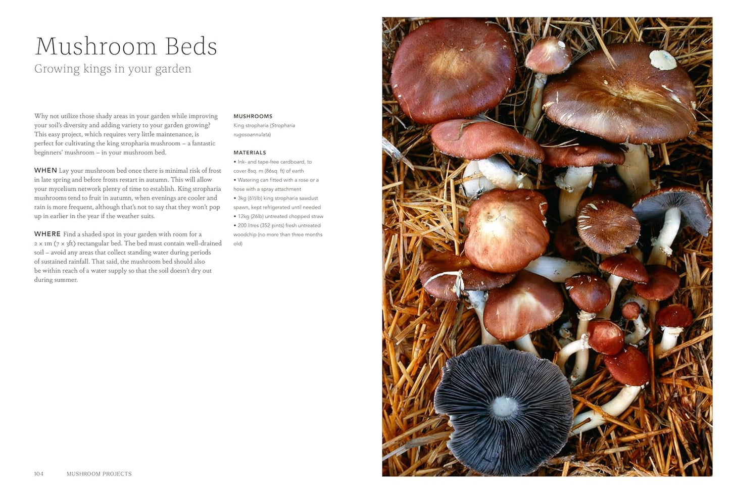 Project Mushroom: A Modern Guide to Growing Fungi Cloud Nine Stores