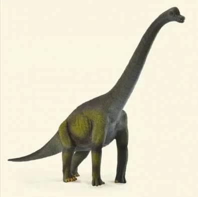 Brachiosaurus - CollectA - Cloud Nine Stores
