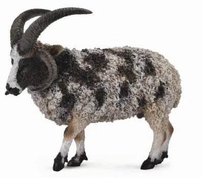 Jacob Sheep - CollectA - Cloud Nine Stores