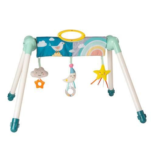 Mini Moon Take to Play Gym - Taf toys - Cloud Nine Stores