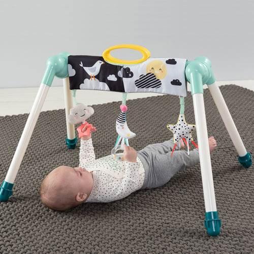 Mini Moon Take to Play Gym - Taf toys - Cloud Nine Stores