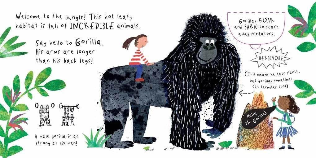 Hello, Mr Tiger! - Sam Boughton - Cloud Nine Stores