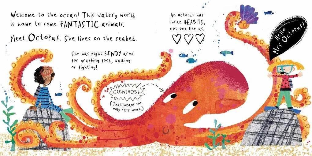 Hello, Mr Whale! - Sam Boughton - Cloud Nine Stores