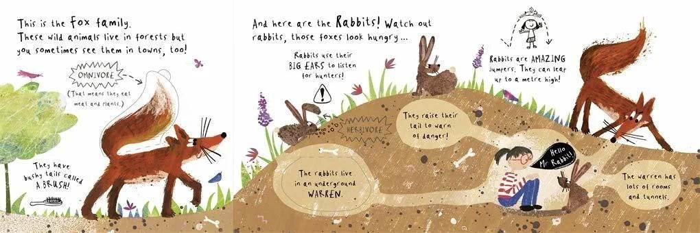 Hello, Mrs Bear! - Sam Boughton - Cloud Nine Stores