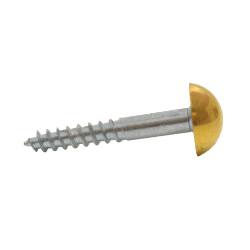 Dome Mirror Screws 38mm x 8 EB Plated Pk of 4 Cloud Nine Stores