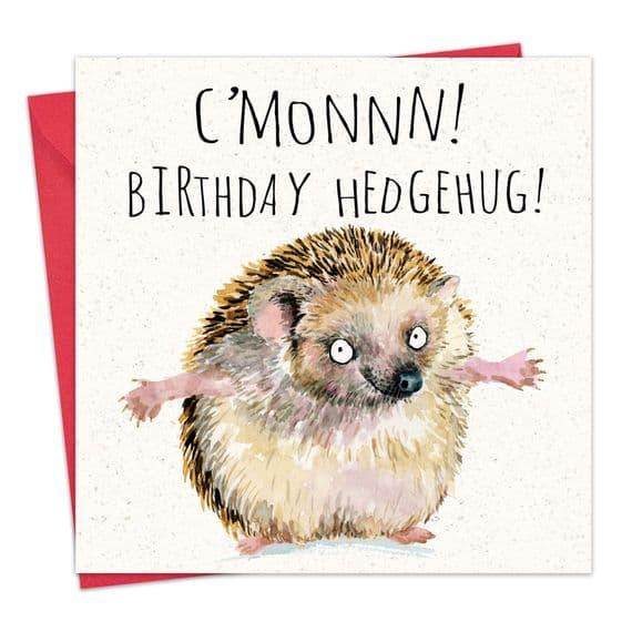 Birthday Hedgehug - Cloud Nine Stores