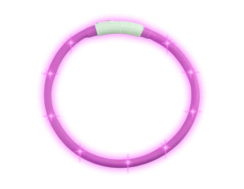 Light Up Dog Collar - Cloud Nine Stores