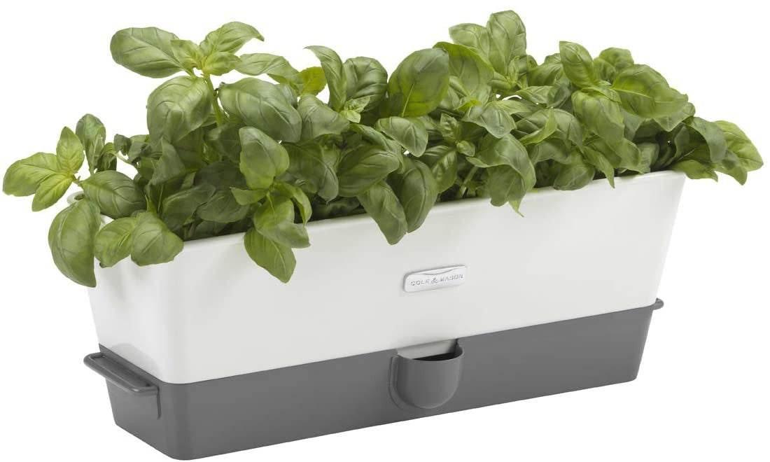 Cole & Mason Triple Self Watering Herb Keeper With Hydro Pads - Cloud Nine Stores