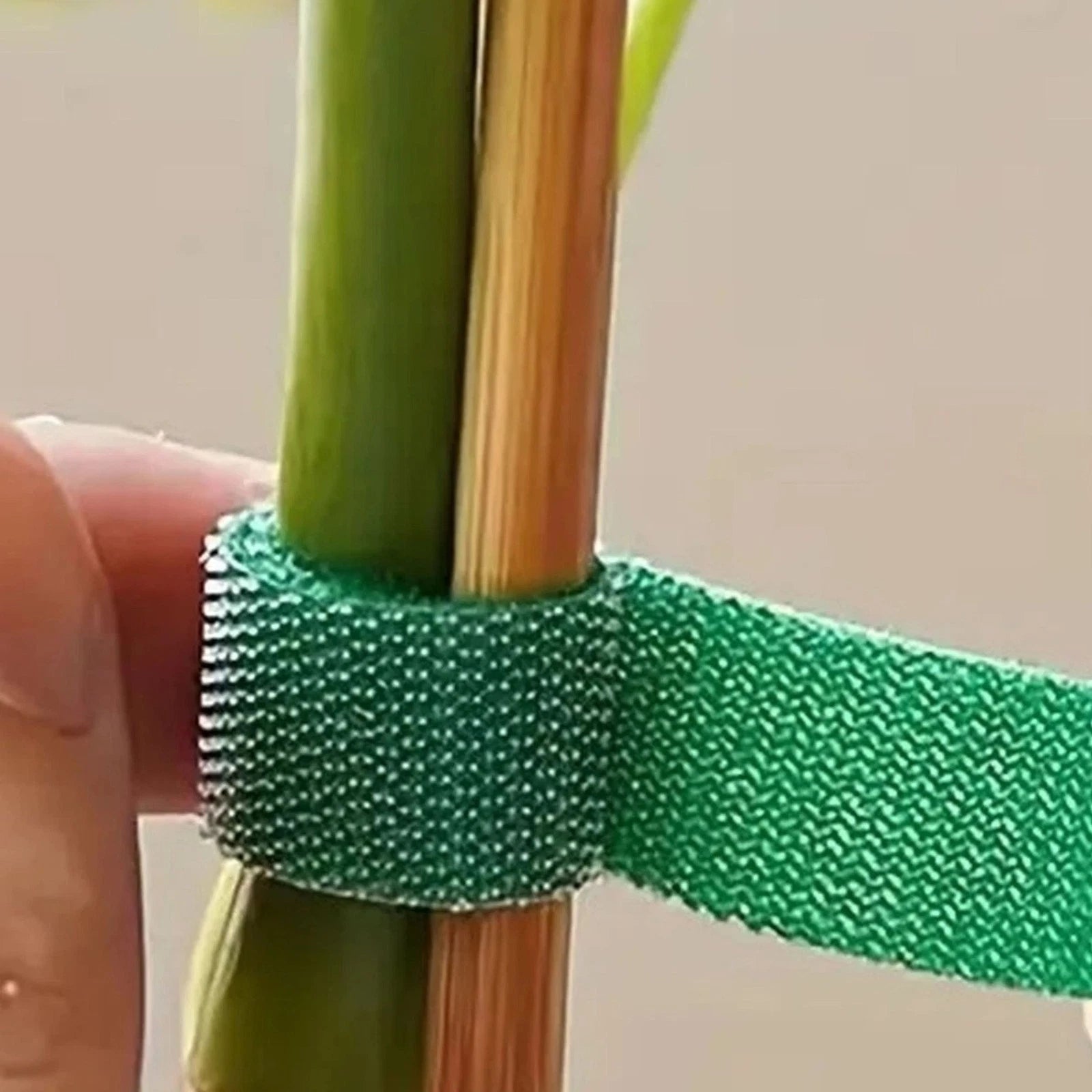 Plant Support Fastening Tape Hook and Loop Reusable Tape 50mm x 5m - Cloud Nine Stores